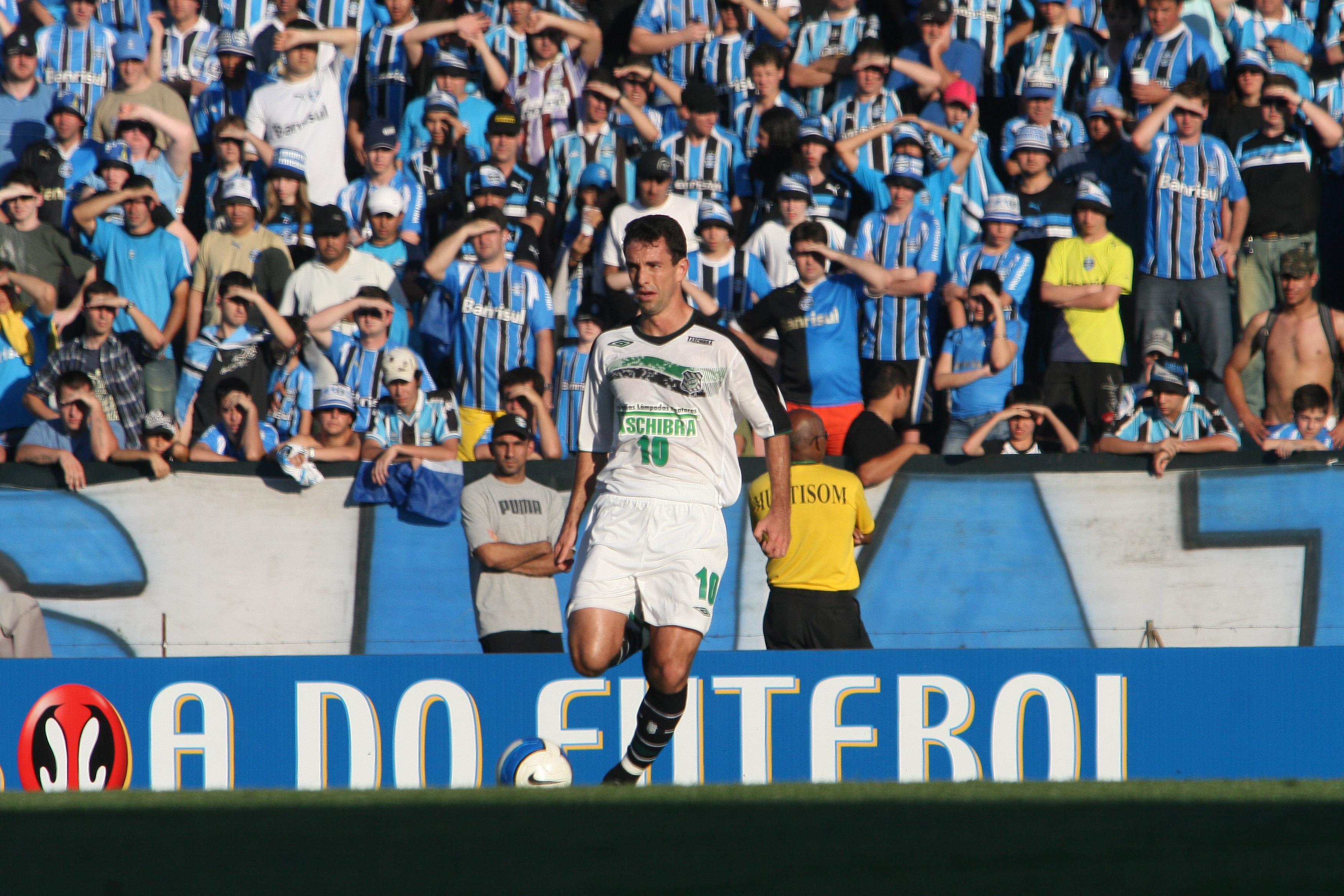 Stadium supporters in motion